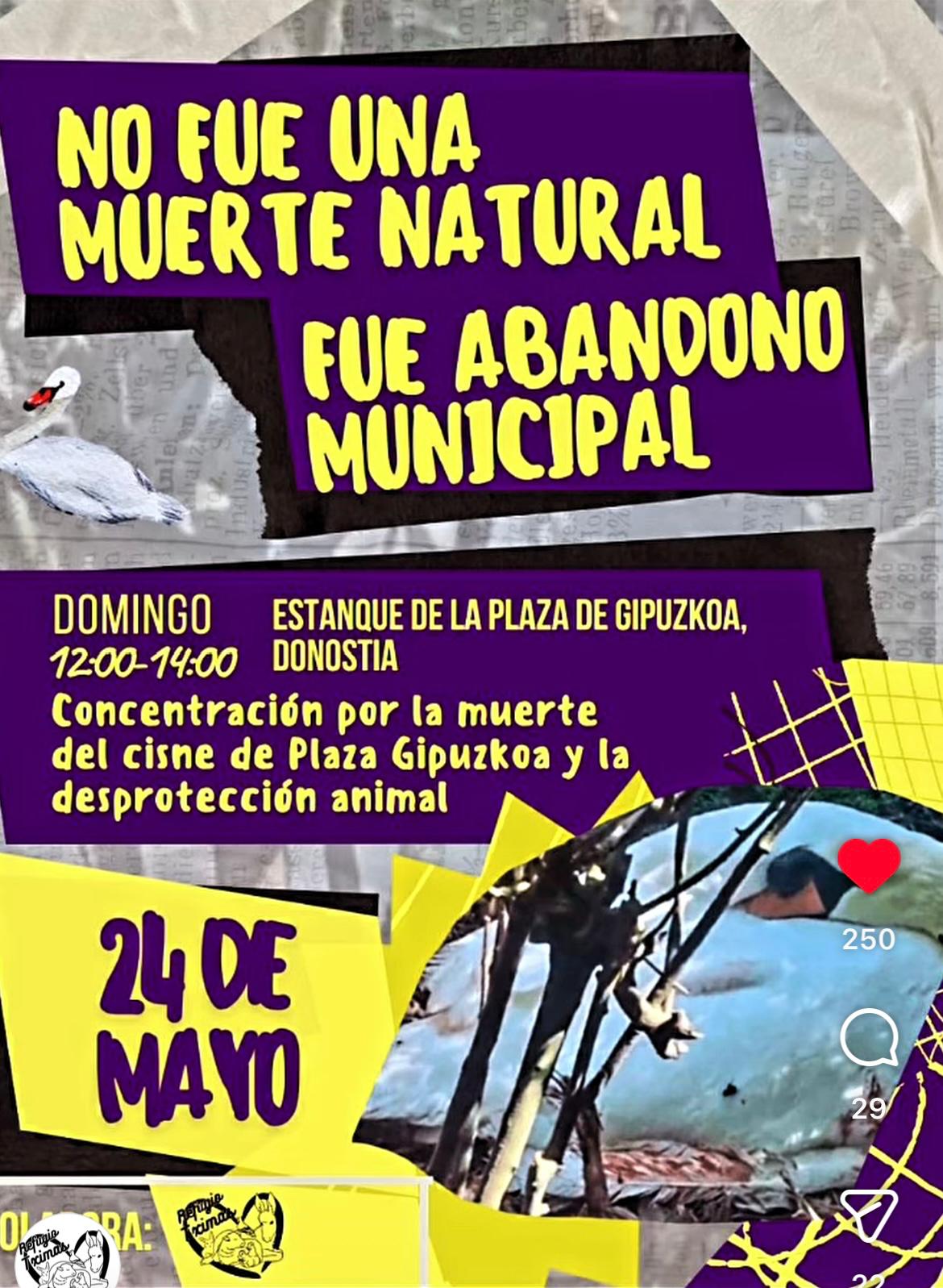 Concentración por la muerte del cisne